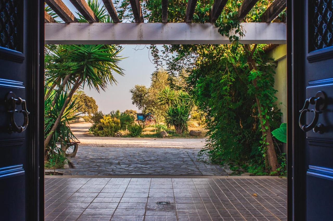 Monte Do Colmeal - Country House & Wine Guest House Mourao Exterior photo